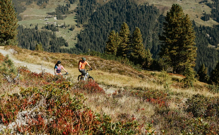 Zwei Mountainbiker fahren auf einem Bergweg mit Nadelbäumen im Hintergrund