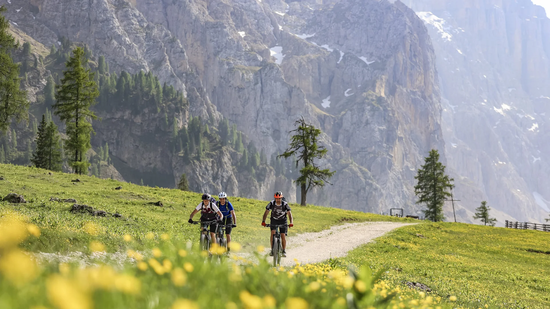 Genuss-(E-)Biken in den Dolomiten © Jens Vögele - Westsiders Drei Radfahrer auf einem Bergweg mit gelben Blumen und felsigen Bergen im Hintergrund
