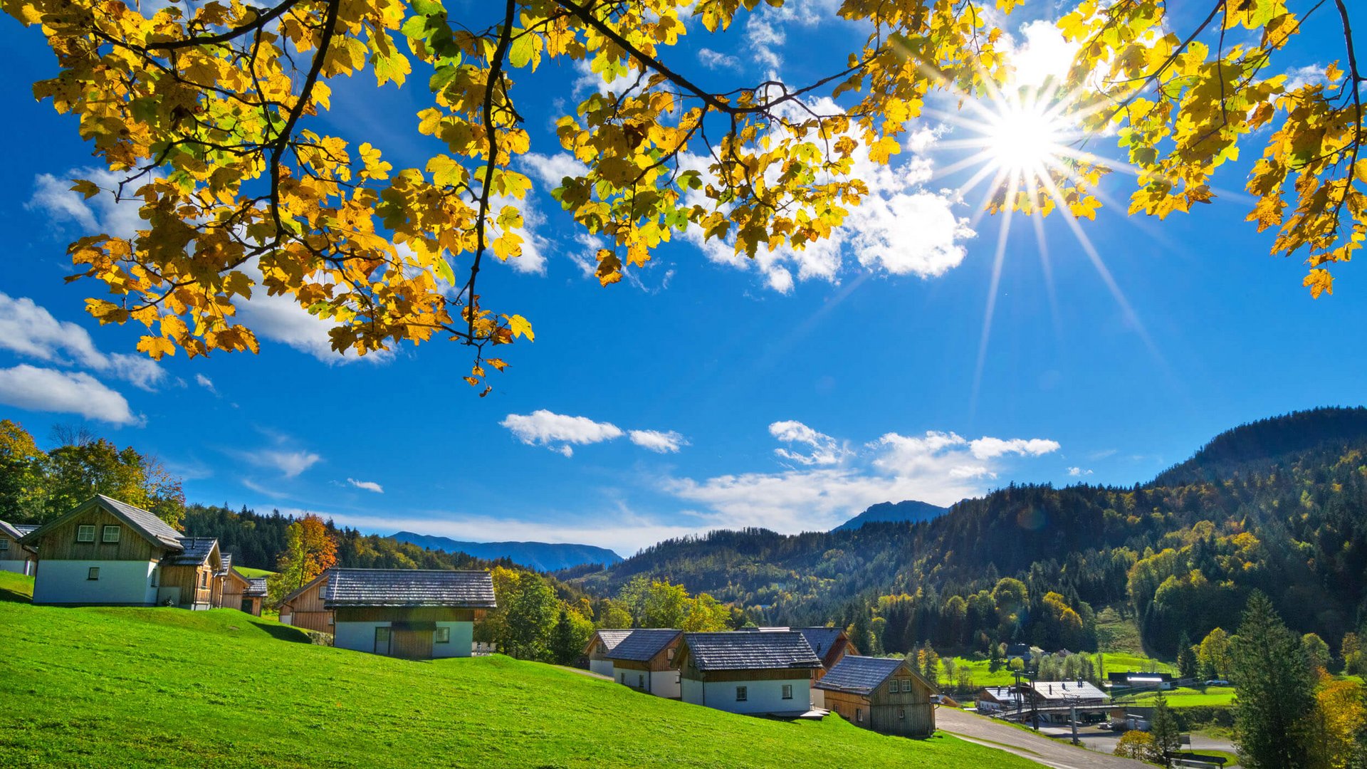 Häuser auf grüner Wiese unter blauem Himmel mit herbstlichen gelben Blättern