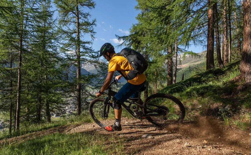 Mountain biker riding downhill on a forest trail in the mountains