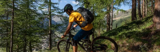 Mountainbiker fährt bergab auf Waldpfad in den Bergen