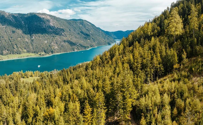 Blick auf einen See und bewaldete Berge unter bewölktem Himmel