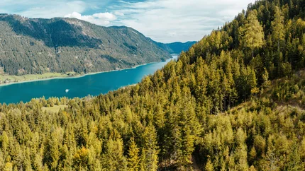 Blick auf einen See und bewaldete Berge unter bewölktem Himmel