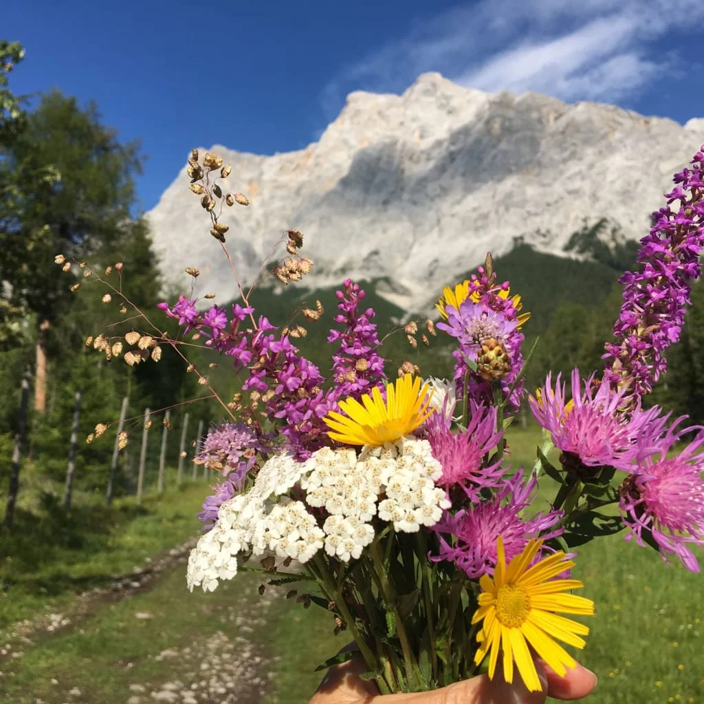 Bunte Wildblumen vor Berglandschaft mit blauem Himmel