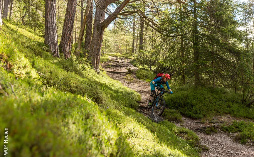 Mountainbiker auf schmalem Waldweg in sonnigem Nadelwald