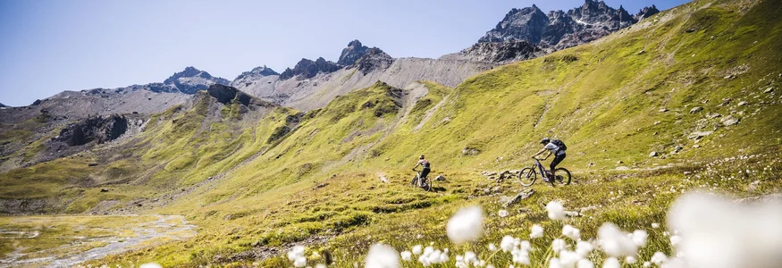 Zwei Mountainbiker auf grüner Bergwiese unter blauem Himmel mit felsigen Gipfeln