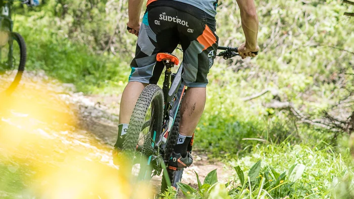 Mountainbiker fährt auf einem Waldweg, Sicht von hinten