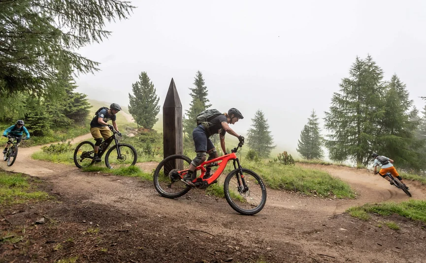 Multiple mountain bikers on winding forest trail in foggy weather