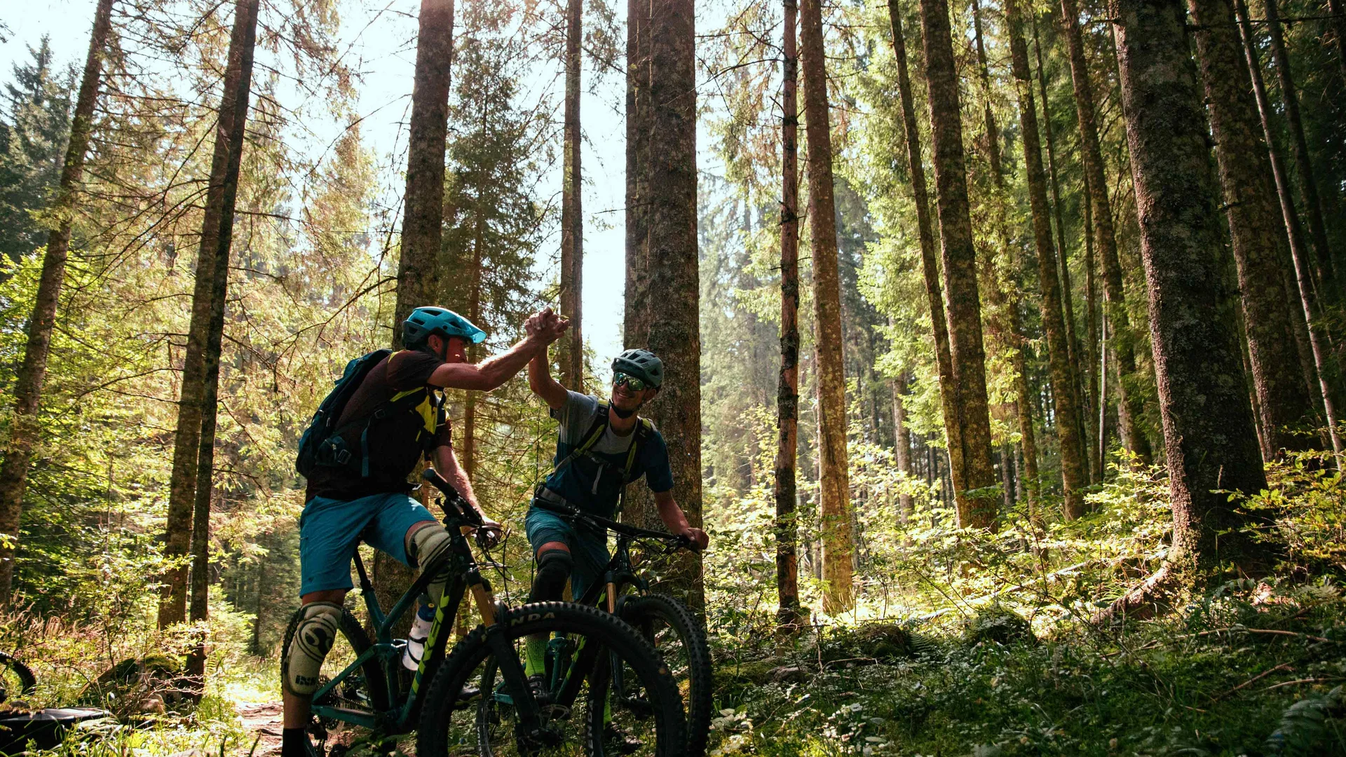 Zwei Mountainbiker geben sich im Wald einen Highfive