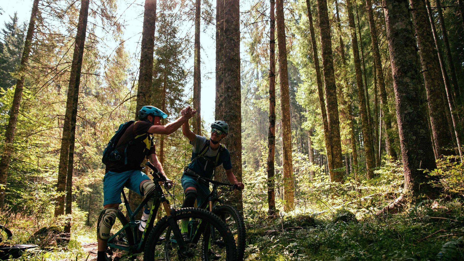 Zwei Mountainbiker geben sich im Wald einen Highfive