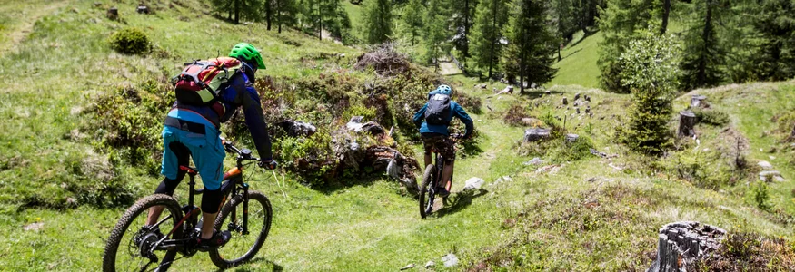 Zwei Mountainbiker fahren auf einem Waldweg in den Bergen