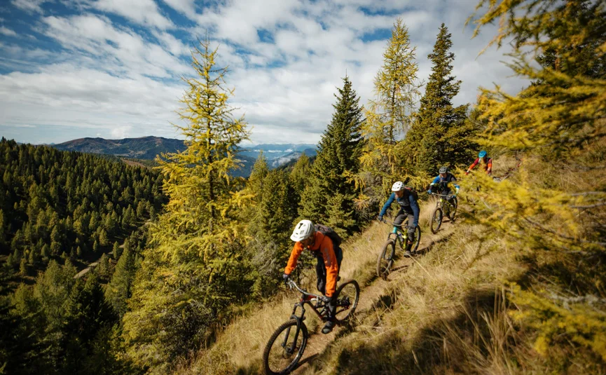 Drei Mountainbiker fahren auf einem Waldweg in den Bergen.