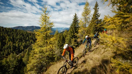 Mountainbiken im Herbst: 5 Top-Regionen für die Saisonverlängerung © David Karg Drei Mountainbiker fahren auf einem Waldweg in den Bergen.