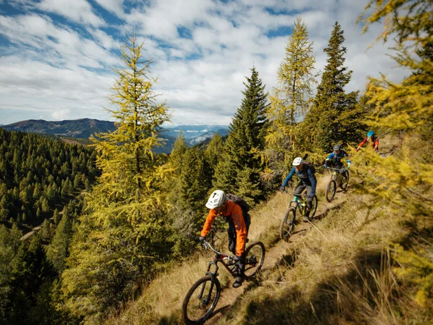Mountainbiken im Herbst: 5 Top-Regionen für die Saisonverlängerung © David Karg Drei Mountainbiker fahren auf einem Waldweg in den Bergen.