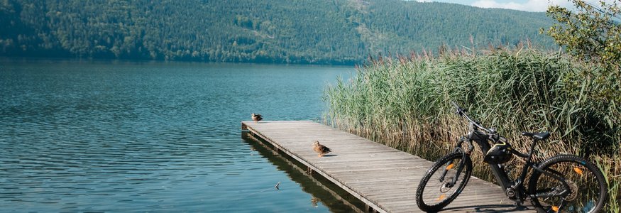 Fiets op een steiger met eenden bij een meer en beboste heuvel op de achtergrond