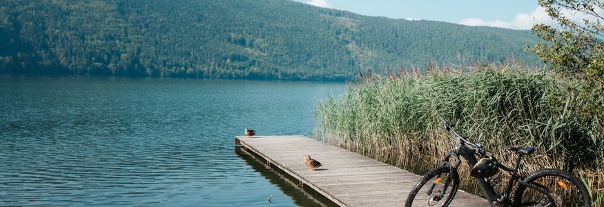 Bicycle on a dock with ducks by a lake and forested hill in background