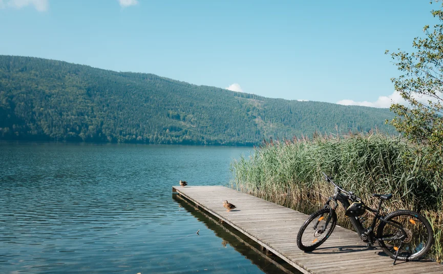Fahrrad auf Steg mit Enten an einem See vor bewaldetem Berg