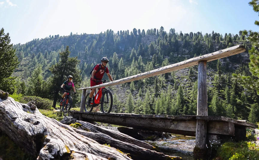 Zwei Mountainbiker fahren bei sonnigem Wetter über eine Holzbrücke im Wald