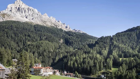 Mountain landscape with forest, houses, and chairlift under clear sky