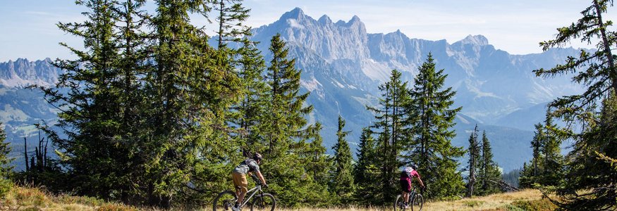 Zwei Radfahrer fahren durch einen Waldweg mit Bergen im Hintergrund