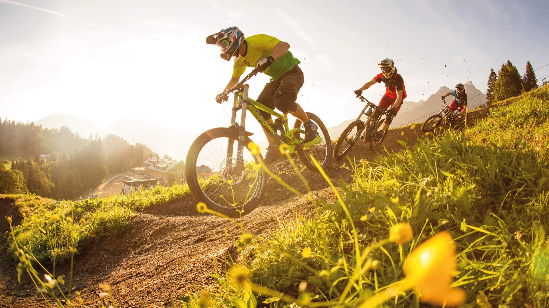 Drie mountainbikers rijden bergaf op een zonnig bospad