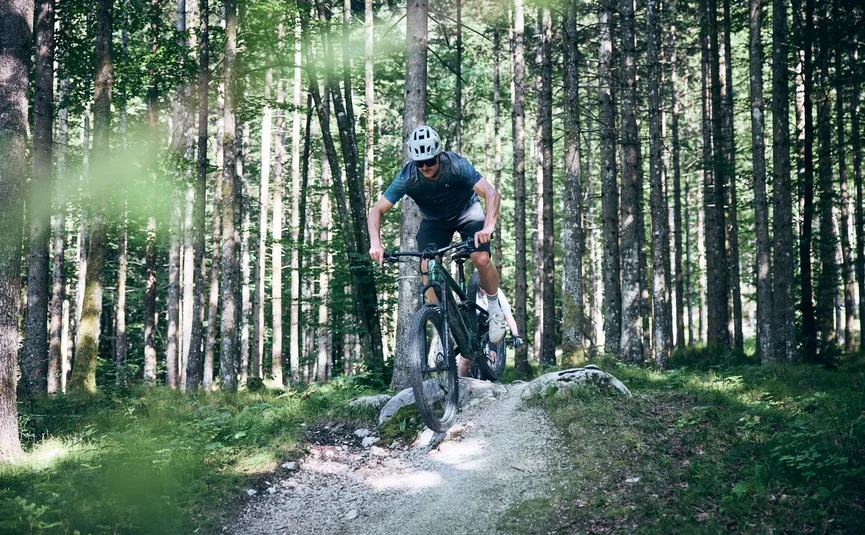 Mountain biker jumps over obstacle on forest trail in daylight
