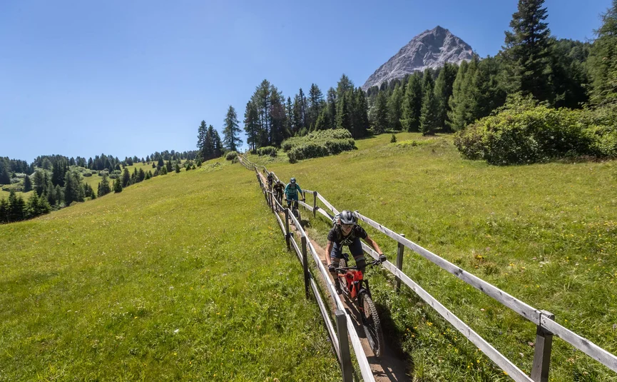 Mountainbiker fahren einen schmalen Weg durch eine grüne Bergwiese bei Sonnenschein