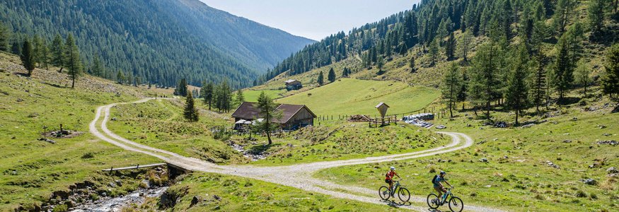 Zwei Radfahrer fahren auf einem Bergweg durch eine grüne Alpenlandschaft