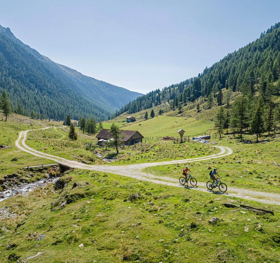 Zwei Radfahrer fahren auf einem Bergweg durch eine grüne Alpenlandschaft