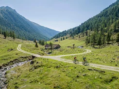 Zwei Radfahrer fahren auf einem Bergweg durch eine grüne Alpenlandschaft