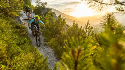 Two mountain bikers riding on a trail in sunny mountain forest
