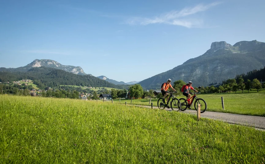 Two cyclists riding on a path through green fields with mountains in the background