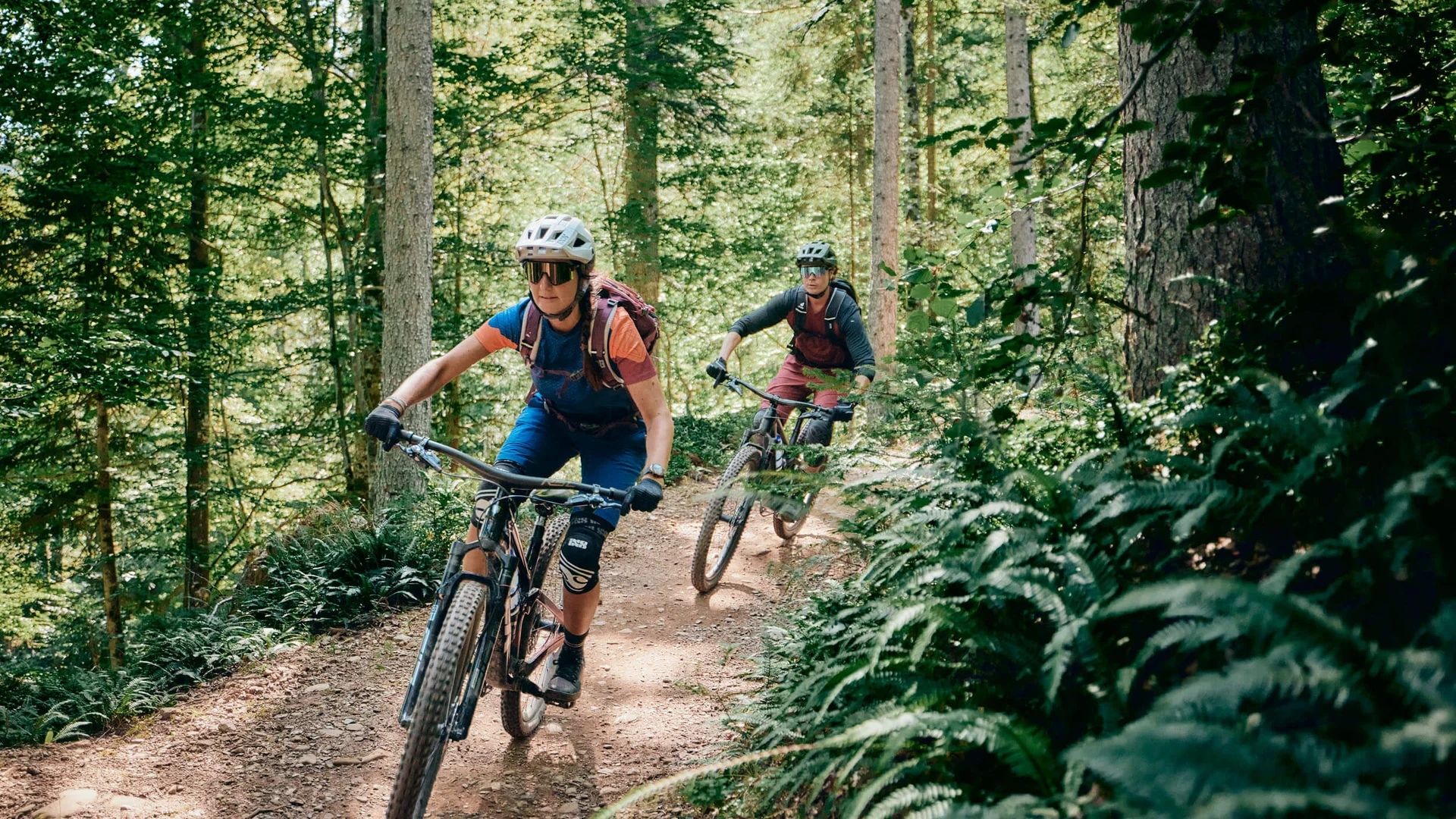 Zwei Mountainbiker fahren auf einem Waldweg mit Schutzkleidung