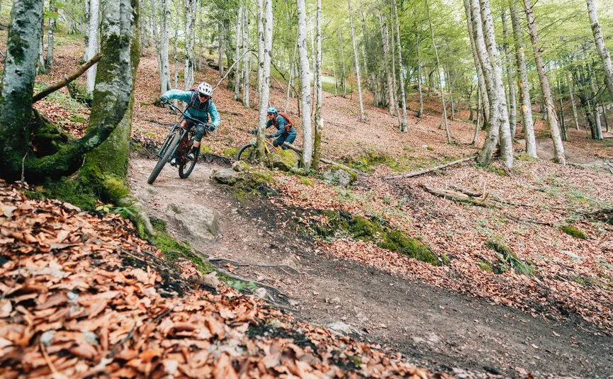 Zwei Mountainbiker fahren auf einem Waldweg durch bunte Herbstblätter