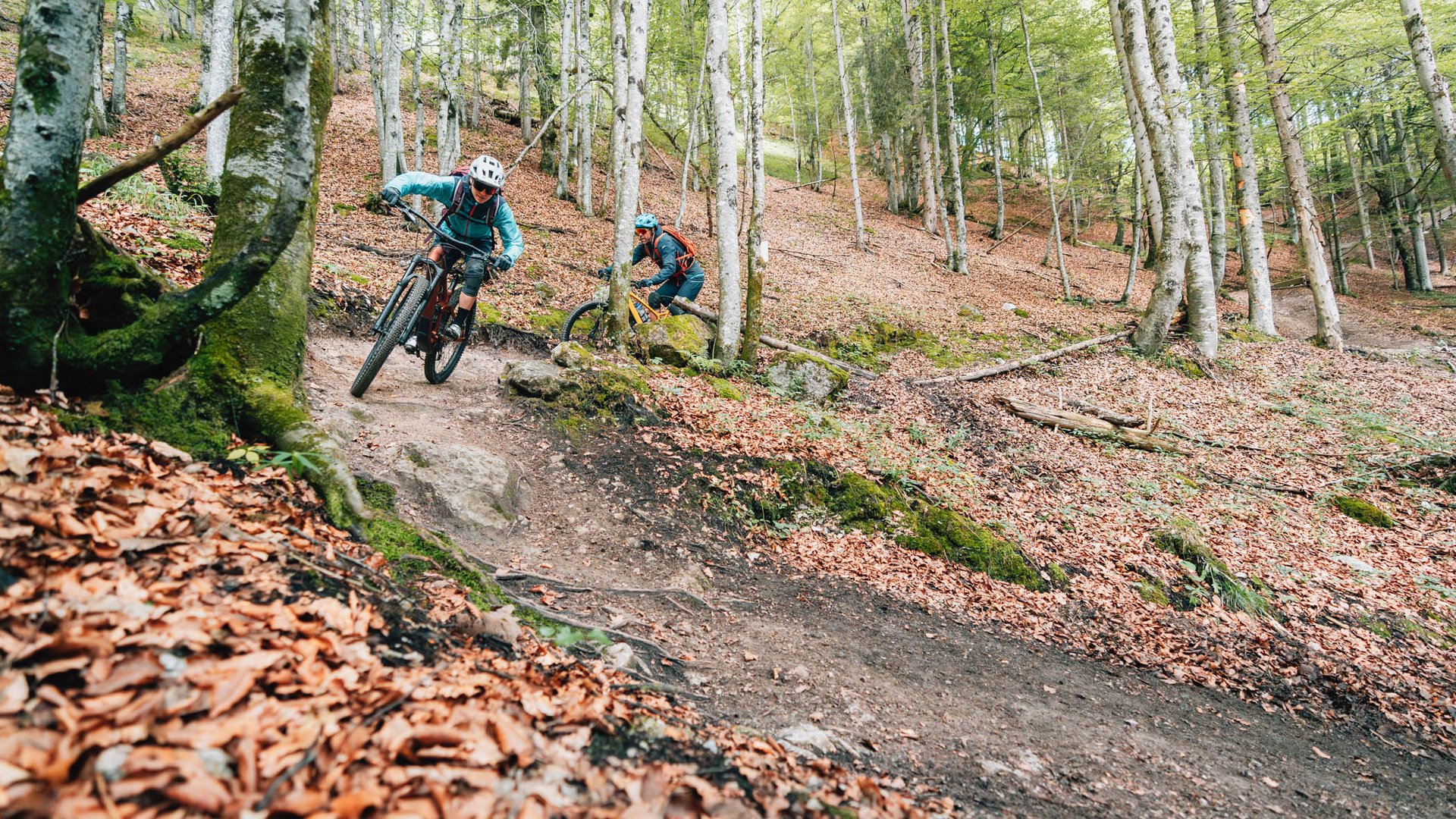 Zwei Mountainbiker fahren auf einem Waldweg durch bunte Herbstblätter