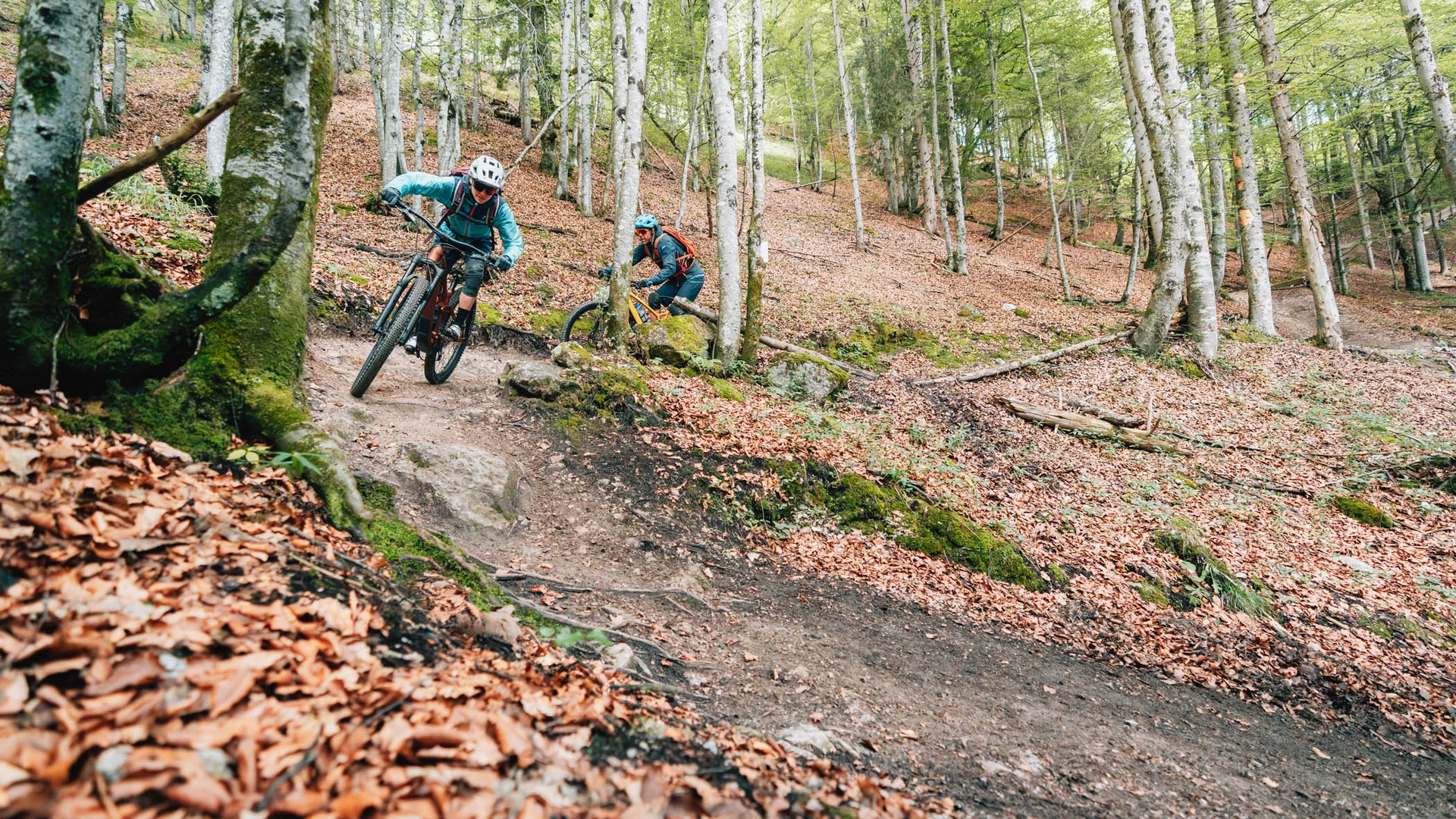 Zwei Mountainbiker fahren auf einem Waldweg durch bunte Herbstblätter