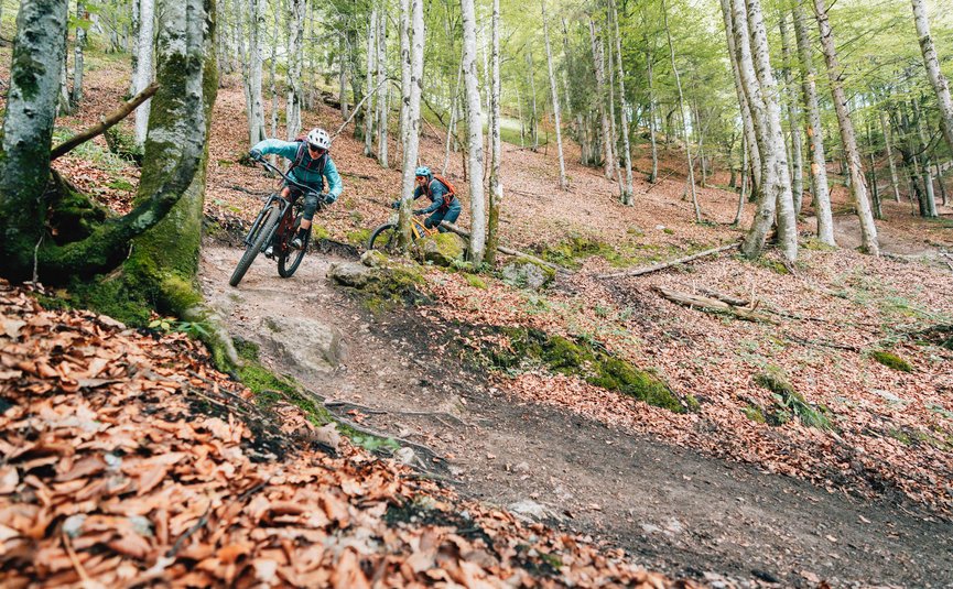 Lisi Osl Trail