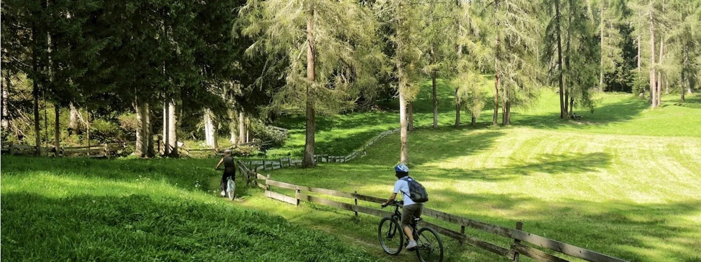 Zwei Radfahrer fahren auf einem Waldweg entlang einer Holzzaunlinie