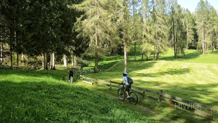 Zwei Radfahrer fahren auf einem Waldweg entlang einer Holzzaunlinie