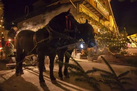 Weihnachten am GUTshof / 3 Nächte Paardenslee voor een huis versierd met kerstverlichting in de nacht
