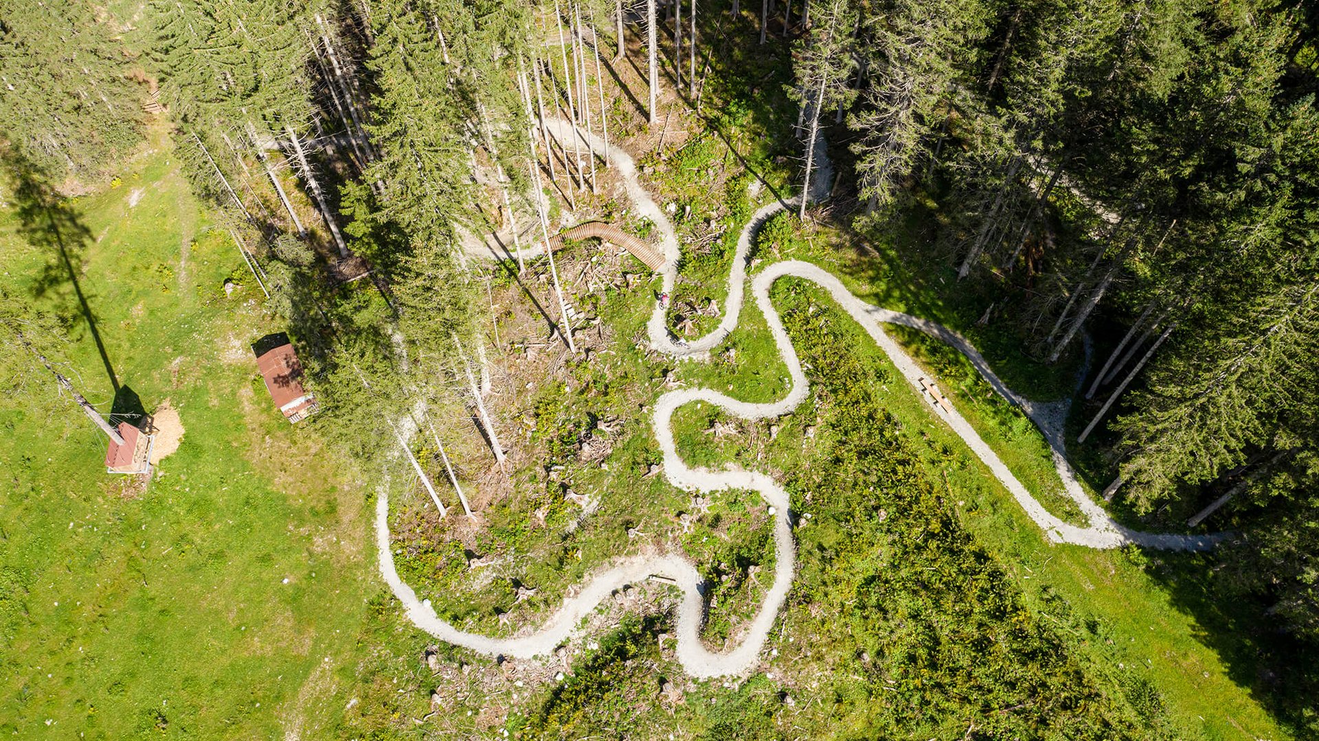 Luftaufnahme eines kurvigen Mountainbike-Trails im Wald