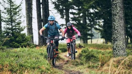 Mountainbiken im Herbst: 5 Top-Regionen für die Saisonverlängerung © Tobias Köhler Zwei Mountainbiker fahren auf einem Waldweg im Grünen