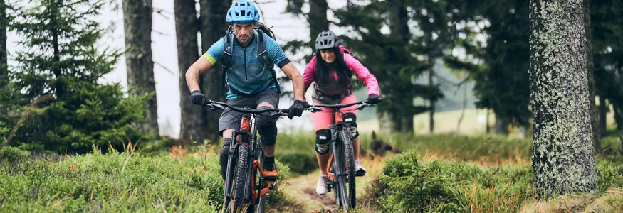 Zwei Mountainbiker fahren auf einem Waldweg im Grünen