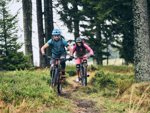 Mountainbiken im Herbst: 5 Top-Regionen für die Saisonverlängerung © Tobias Köhler Zwei Mountainbiker fahren auf einem Waldweg im Grünen