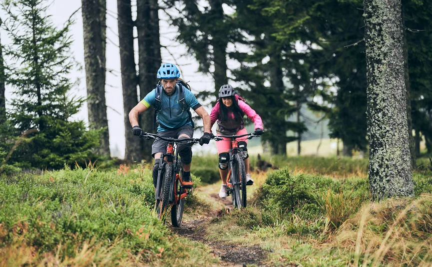 Two mountain bikers riding on a forest trail surrounded by greenery