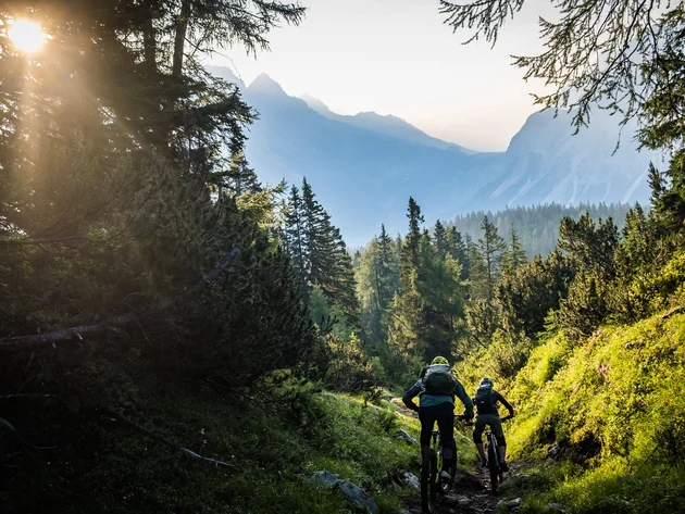 Zwei Mountainbiker fahren auf einem Waldweg in den Bergen bei Sonnenlicht