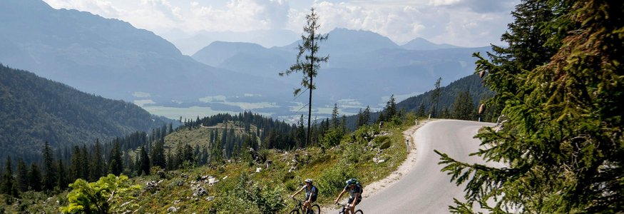 Zwei Radfahrer fahren auf Bergstraße mit Bergen und Wald im Hintergrund