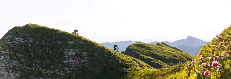 Best of Bregenzerwald © David Karg Zwei Mountainbiker fahren bergab über grasbewachsene Hügel im Sonnenlicht