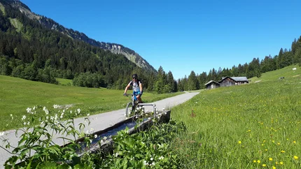 Fietser op weg naast bloemenweide en bergen onder heldere lucht
