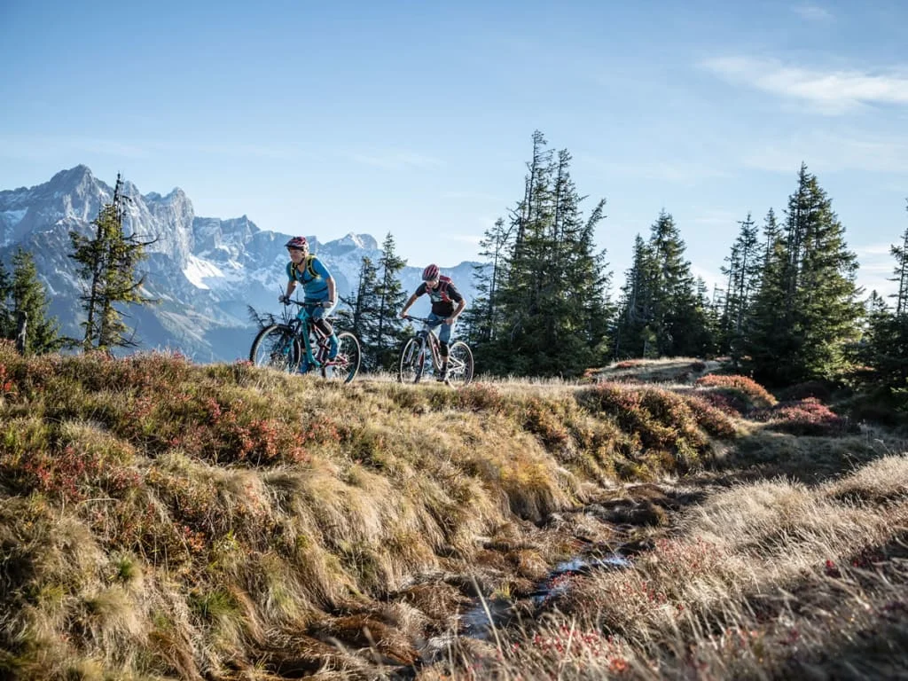 Zwei Mountainbiker fahren auf einem Bergweg mit Tannenzapfen und Bergen im Hintergrund